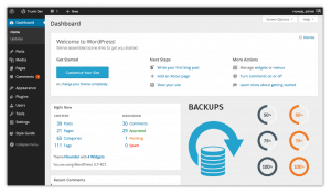 website backups