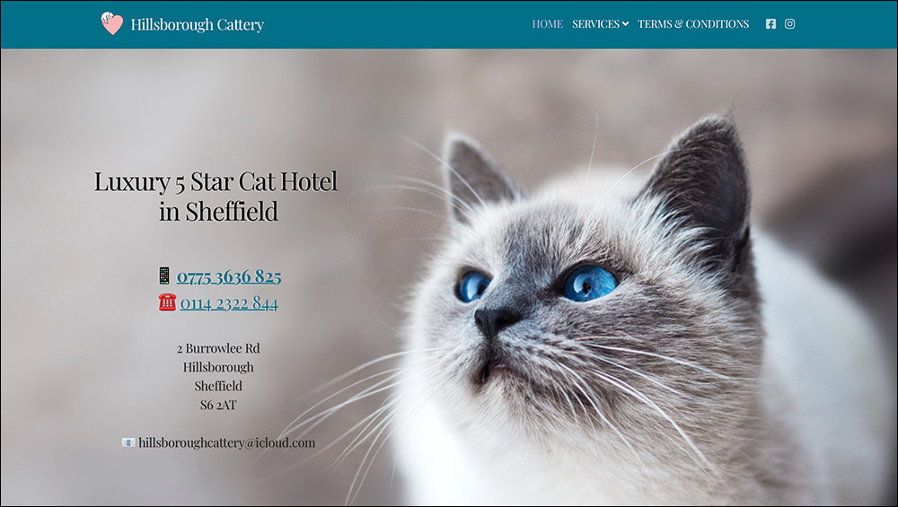 Hillsborough Cattery website image
